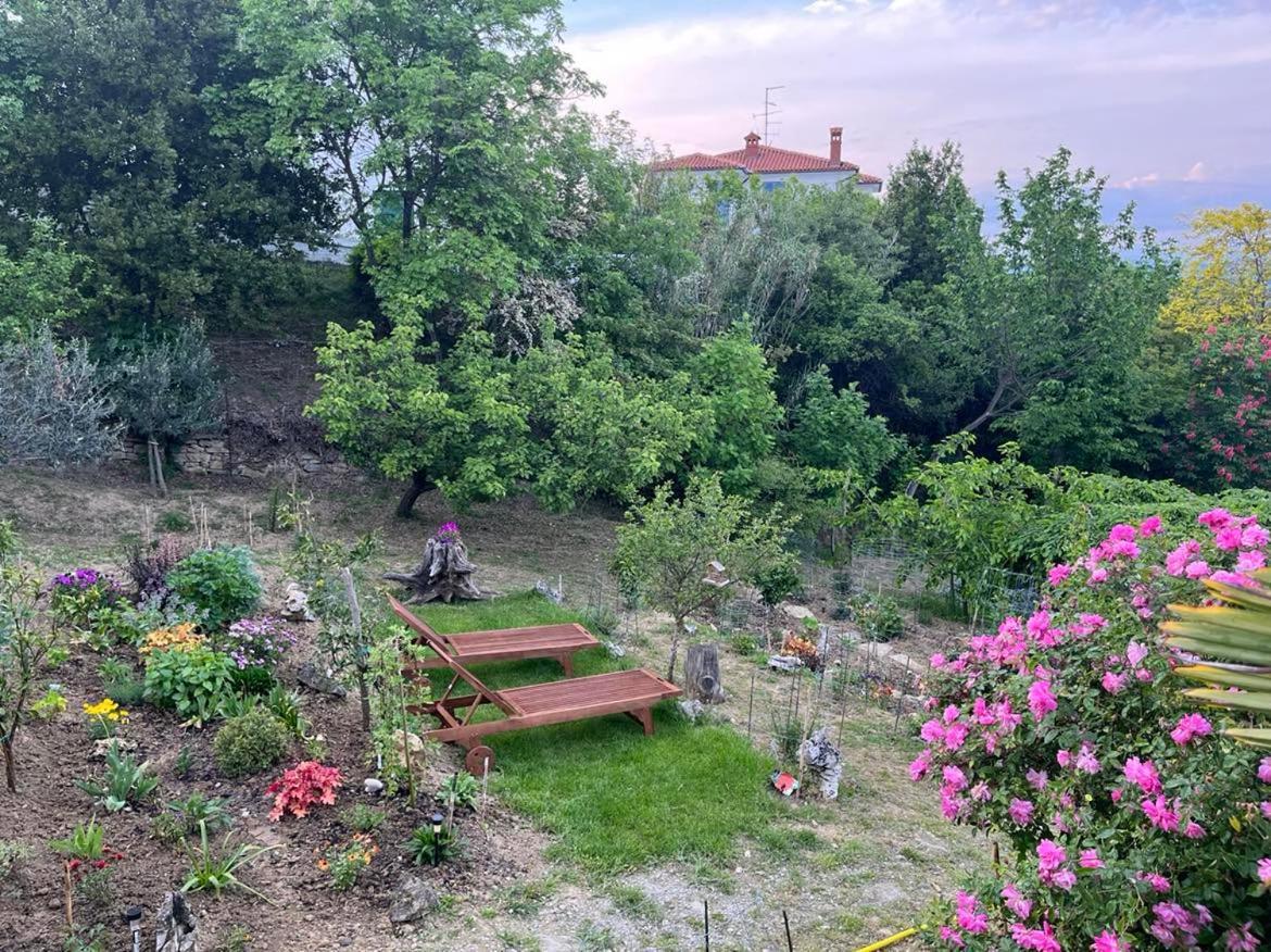 Studio Olea Koper Exterior foto